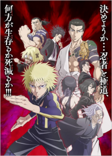 Ninja Vs. Gokudo, Cover, HD, Anime Stream, ganze Folge