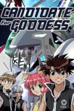 Cover The Candidate for Goddess, Poster The Candidate for Goddess