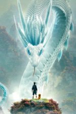 Cover White Snake, Poster White Snake