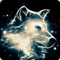 User Premokiller Premokiller, Profilbild, Foto, Avatar